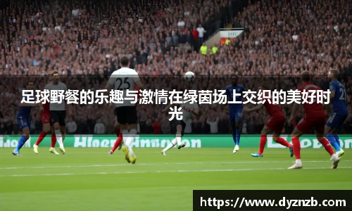 足球野餐的乐趣与激情在绿茵场上交织的美好时光